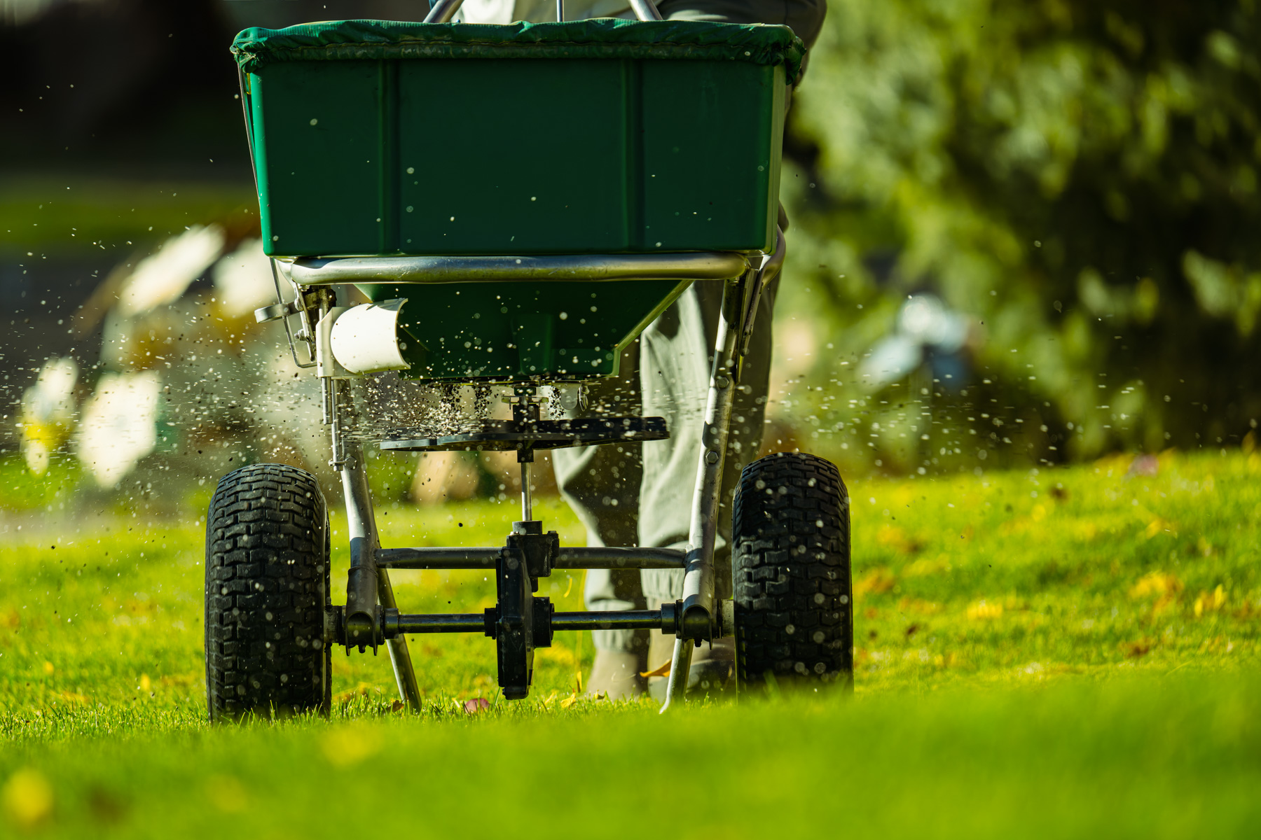 Broadcast spreader applies granular fertilizer service and pre emergent on residential lawn in Davis County Utah during spring treatment.